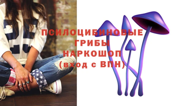 дмт Белокуриха