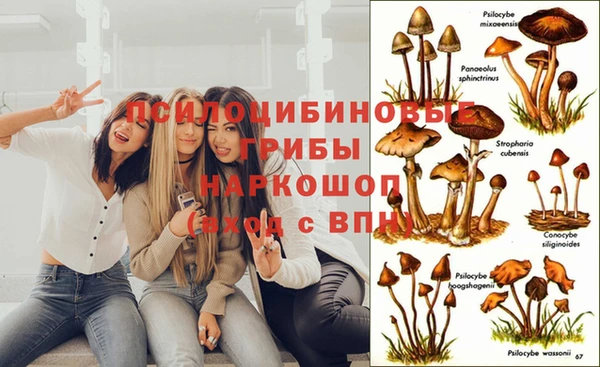 MDMA Белоозёрский