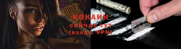 дмт Белокуриха