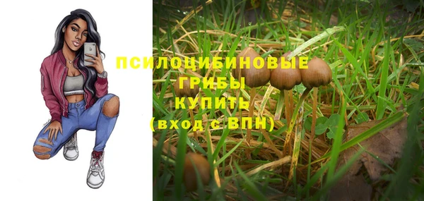 дмт Белокуриха