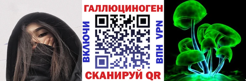 Псилоцибиновые грибы Psilocybe  Ясногорск 
